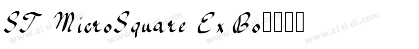 ST MicroSquare Ex Bo字体转换